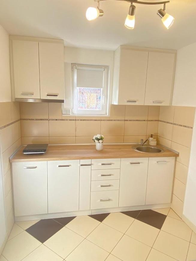 Apartman Mina Mataruska Banja Esterno foto