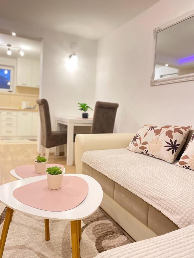 Apartman Mina Mataruska Banja Esterno foto