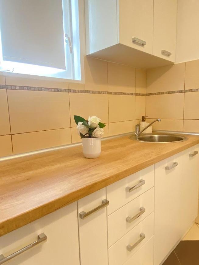 Apartman Mina Mataruska Banja Esterno foto