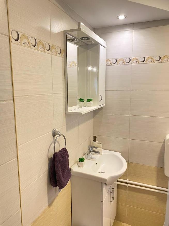 Apartman Mina Mataruska Banja Esterno foto