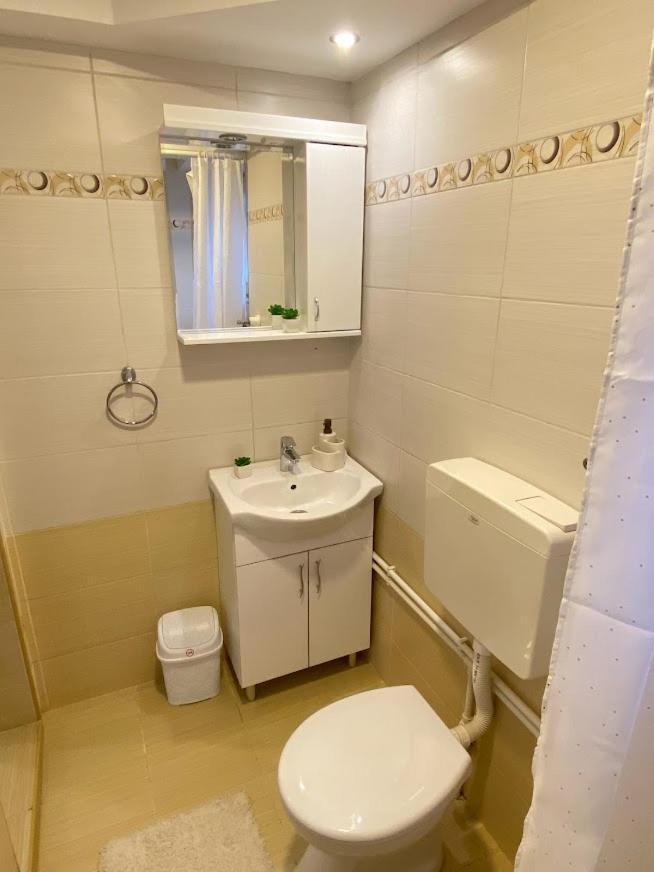 Apartman Mina Mataruska Banja Esterno foto