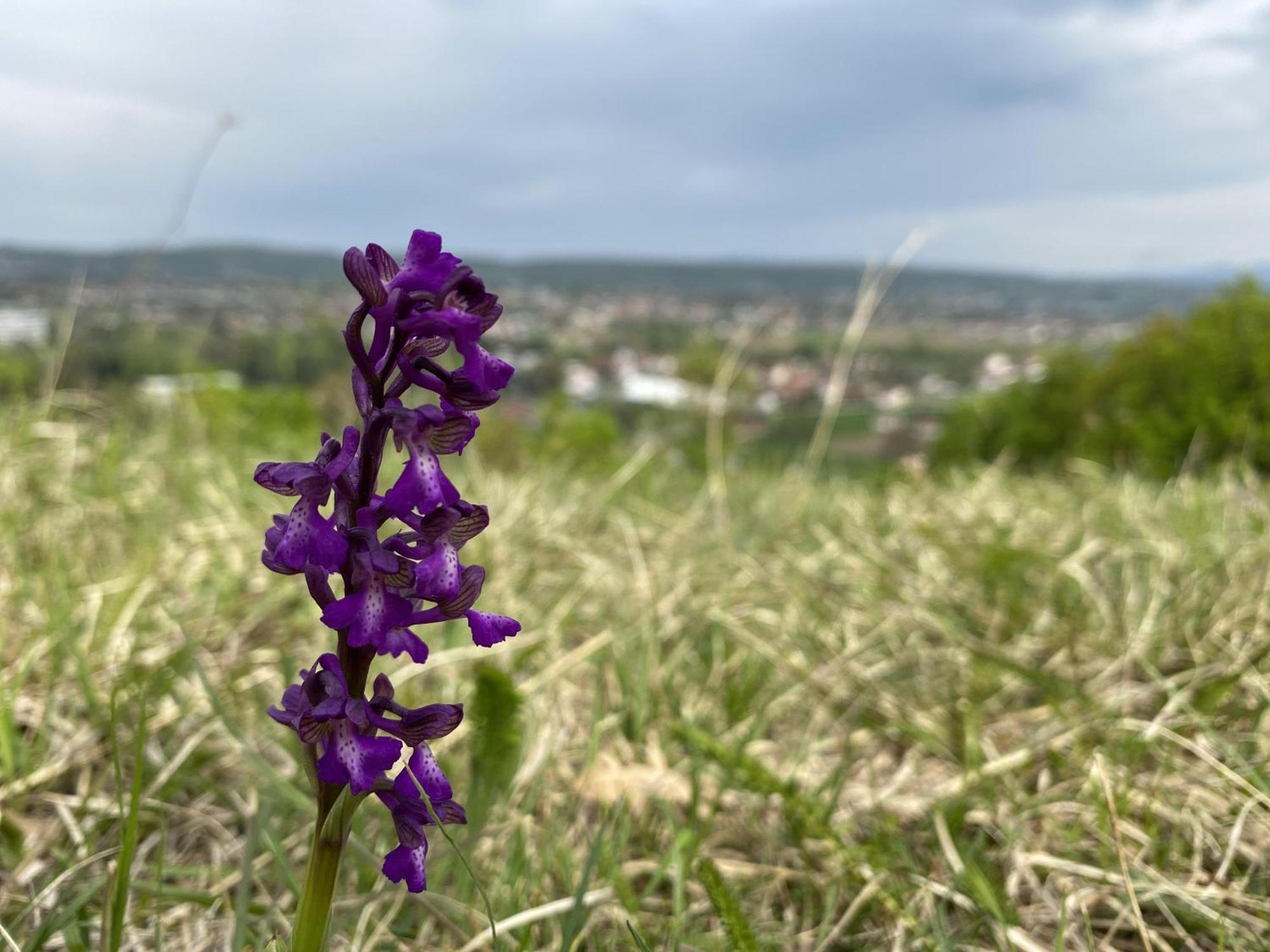 Apartman Mina Mataruska Banja Esterno foto