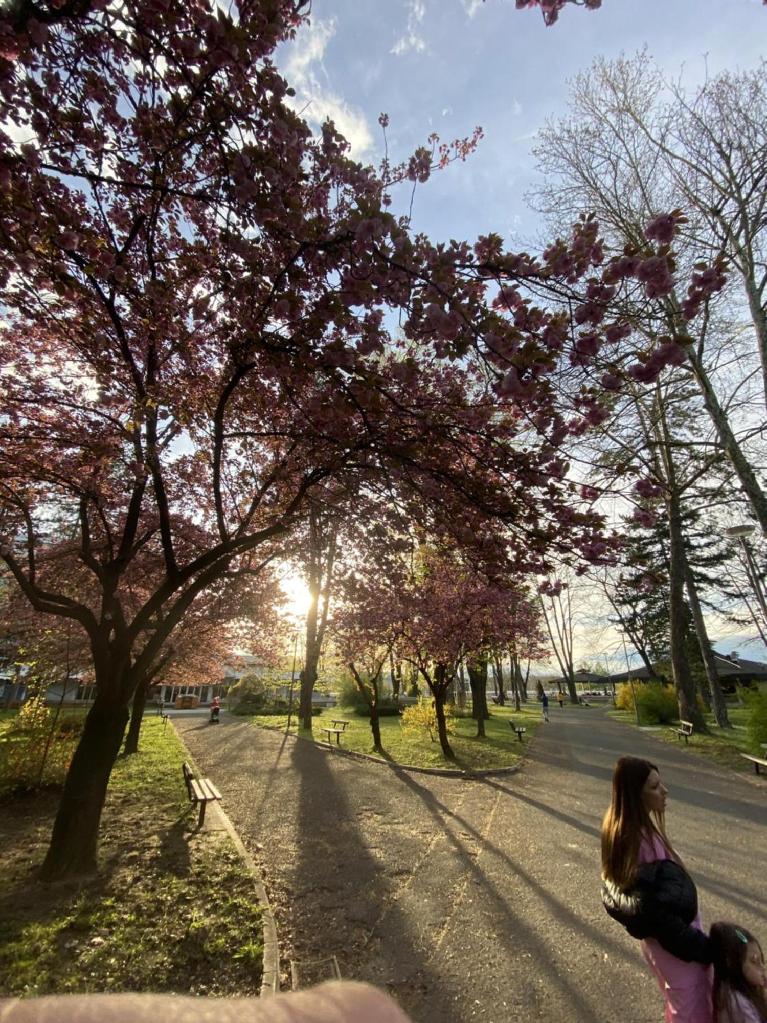 Apartman Mina Mataruska Banja Esterno foto